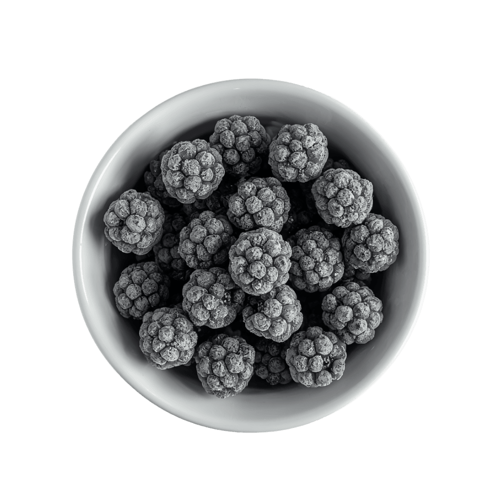 Bulk IQF frozen blackberries in a bowl