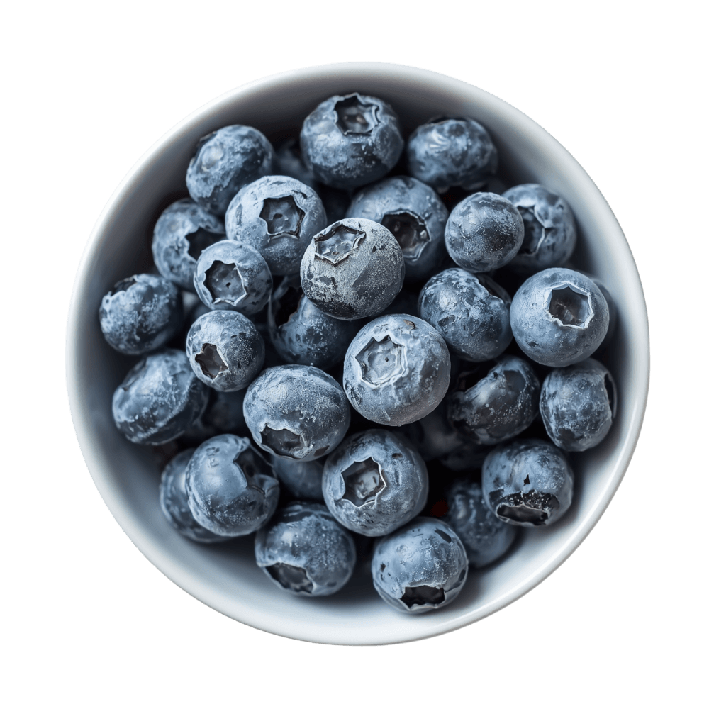 Bulk IQF frozen blueberries in a bowl